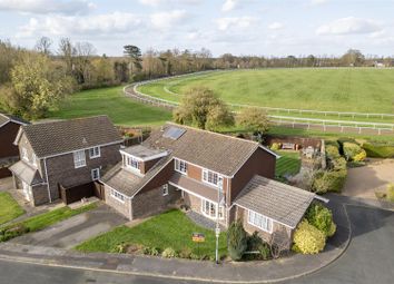 Thumbnail Detached house for sale in Ferndale Close, Newmarket