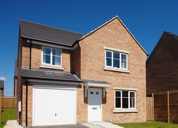 Thumbnail 4 bed detached house for sale in "The Roseberry" at Richmond Lane, Kingswood, Hull