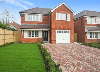 Thumbnail Detached house to rent in Beverley Close, Basingstoke