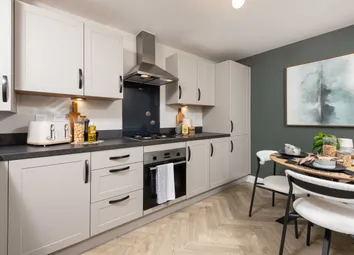 Alder Kitchen