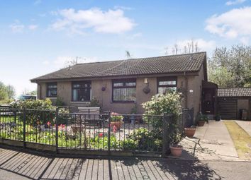 Thumbnail Semi-detached bungalow for sale in Earls Court, Alloa