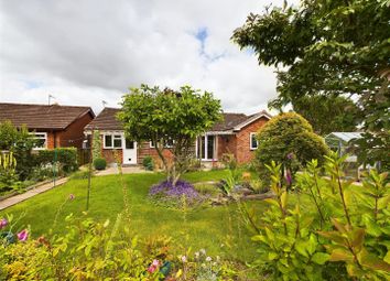 Thumbnail 2 bed detached bungalow for sale in Stepstile, Lyonshall, Kington