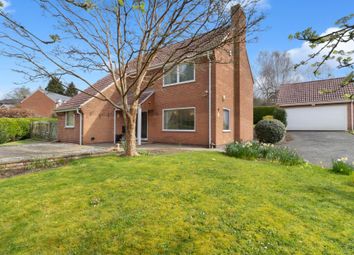 Thumbnail Detached house for sale in Kings Orchard, Cradley