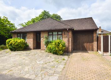 Thumbnail Detached bungalow to rent in Burghstead Close, Billericay