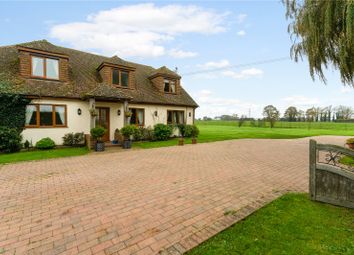 Thumbnail Detached house for sale in Hope All Saints, St. Mary In The Marsh, Romney Marsh, Kent