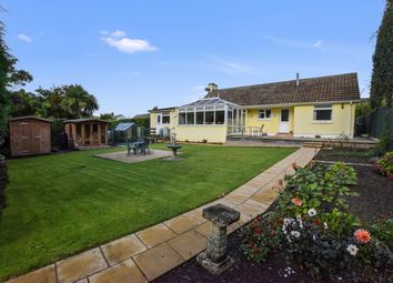 Thumbnail 2 bed detached bungalow for sale in Lyddicleave, Bickington, Barnstaple