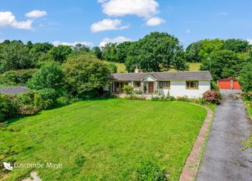 Thumbnail 3 bed bungalow for sale in Totnes Road, Ermington, Ivybridge