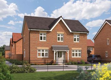 Thumbnail Detached house for sale in "Chestnut" at Marigold Place, Stafford