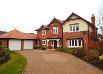 4 Bedroom  for rent