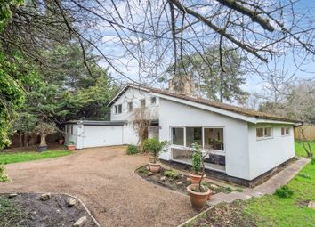 Thumbnail Detached house for sale in Canon Hill Drive, Maidenhead