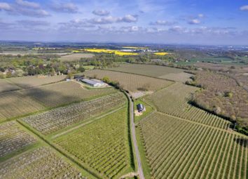 Thumbnail Land for sale in Milstead, Sittingbourne