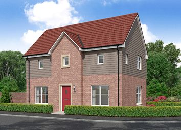 Thumbnail 3 bedroom detached house for sale in "Corringham" at Arrochar Drive, Bishopton