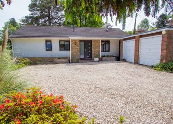 Thumbnail Bungalow for sale in West Hill, Ottery St. Mary