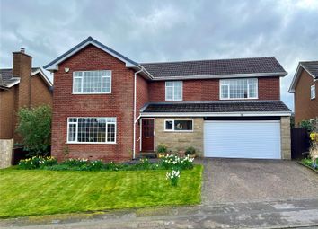 Thumbnail Detached house for sale in Rosehill, Great Ayton, Middlesbrough