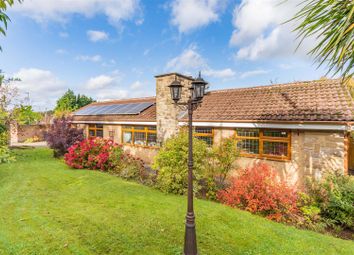 Thumbnail 4 bed detached bungalow for sale in Springwood, Chesterfield Road, Huthwaite