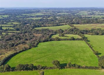 Thumbnail Land for sale in Halwill, Beaworthy, Devon