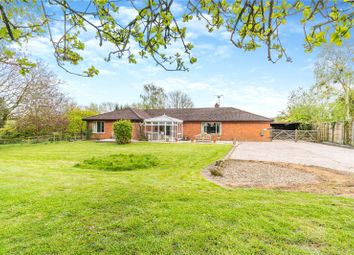 Thumbnail Bungalow for sale in Bruntingthorpe Road, Knaptoft, Lutterworth, Leicestershire