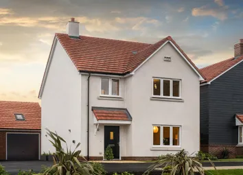 Dandara - Zoopla -