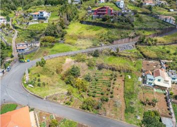 Thumbnail Land for sale in Calheta, Calheta (Madeira), Ilha Da Madeira