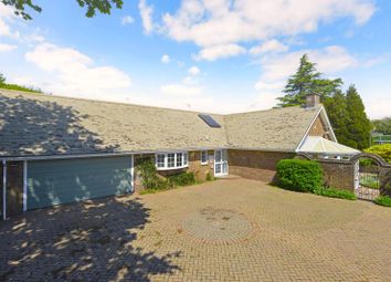 Thumbnail Detached bungalow for sale in Gransden Close, Ewhurst, Cranleigh