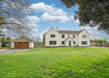 Thumbnail Detached house for sale in Butt Lane, Burgh Castle, Great Yarmouth