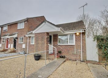 Holly Drive, Waterlooville PO7, south east england property