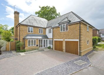 Thumbnail Detached house for sale in Wentworth Dene, Pine Grove, Weybridge, Surrey
