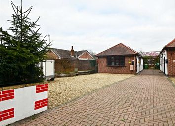 1 Bedroom Bungalow for rent