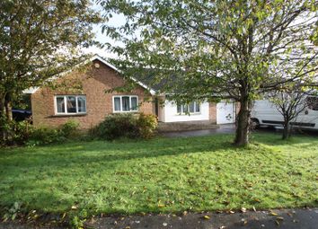 Ballynahinch - Detached bungalow to rent