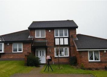3 Bedroom  for rent