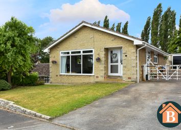 Thumbnail 3 bed bungalow for sale in Wentdale, Little Smeaton