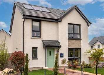 Showhome Photography