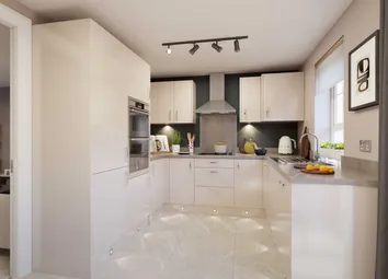 Palmerston Kitchen