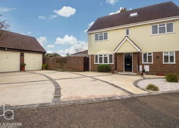 Thumbnail Detached house for sale in Rosemary Crescent, Tiptree, Colchester