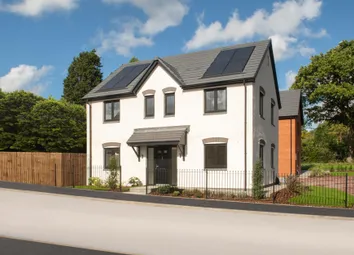 Showhome Photography