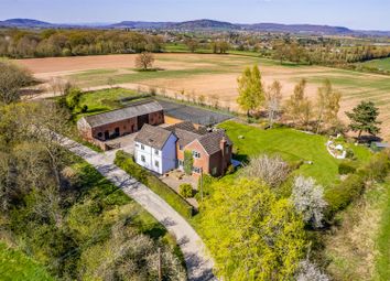 Dji_0879-Edit.Jpg