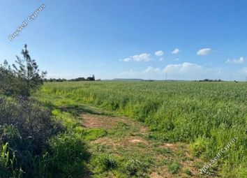 Thumbnail Land for sale in Xylotymvou, Larnaca, Cyprus