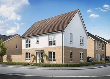 Artist's Impression Of The Plumdale