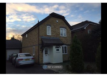 Thumbnail Detached house to rent in Turnstone Close, Wokingham