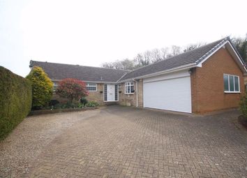 Thumbnail 4 bed detached bungalow for sale in West View, Darlington