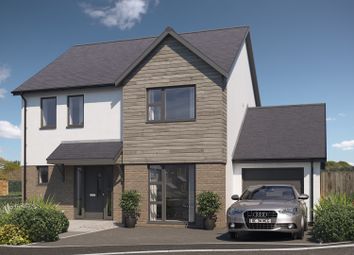 Thumbnail 4 bed detached house for sale in Bowden Green, Buckland Road, Bideford