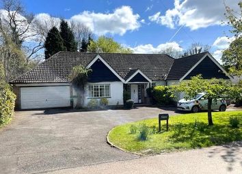 Thumbnail Detached bungalow to rent in Daintree, Bridle Lane, Loudwater, Rickmansworth