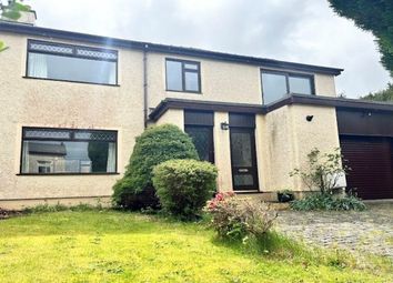 Thumbnail Semi-detached house to rent in Pendinas Estate, Bangor
