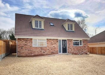 Thumbnail 3 bed bungalow to rent in Church Hill, Ramsey, Harwich