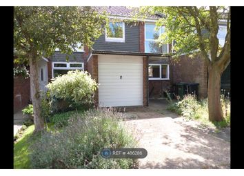 3 Bedroom Terraced house for rent