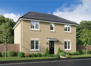 Thumbnail 4 bedroom detached house for sale in "The Portwood" at Off Durham Lane, Eaglescliffe