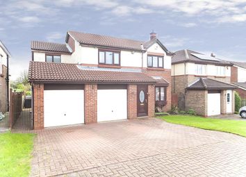 Thumbnail Detached house for sale in Rose Court, Peterlee