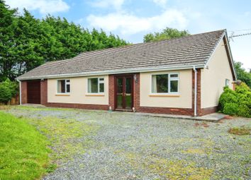 Thumbnail 3 bed bungalow for sale in Creuddyn Bridge, Llanbedr Pont Steffan, Creuddyn Bridge, Lampeter