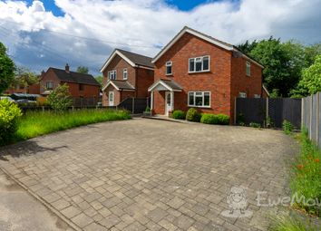 Thumbnail Detached house for sale in Besthorpe, Norfolk