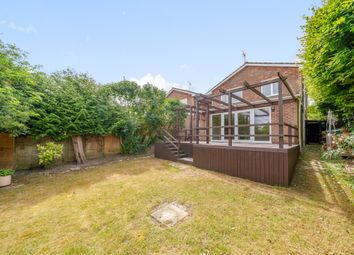 Thumbnail Detached house to rent in Amport Close, Winchester